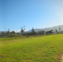 Fototapeta premium rural landscape with a fence