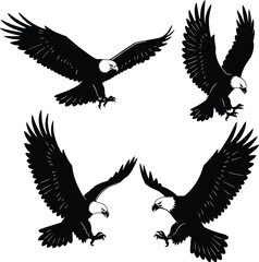 Obraz premium Four black silhouette eagle shapes demonstrating various flight poses on white background