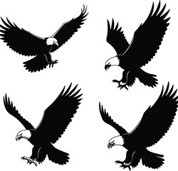 Set of four black silhouette eagle avian bird winged illustration graphics on white background