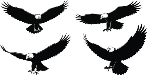 Silhouette of a group of flying birds against a clean white background design