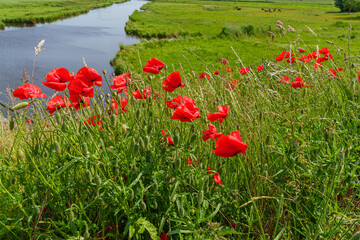 Ein Sommertag in Ostfriesland
