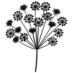 Detailed Queen Annes lace botanical flower with clustered petal art silhouette vector