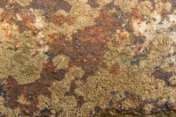 Close-up of rusty corroded metal with varied textures and colors