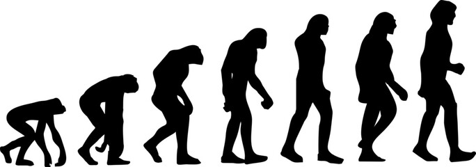 vector evolucion del hombre