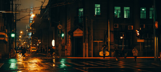 Interplay of Light and Shadow on a Rainy Night Street