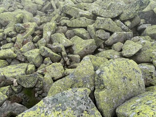 Karkonoskie kamienie