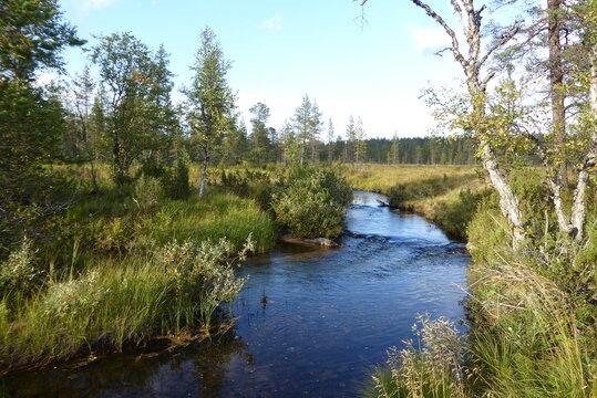 Kevo Nationalpark Finnland, Natur