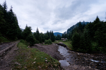 Serene Mountain Stream with Lush Evergreen Forest and Cabin