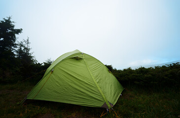 Green Camping Tent on a Grassy Field Amid Lush Wilderness