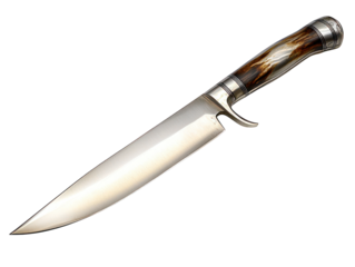 Polished knife with ornate handle, curved guard on dark ground