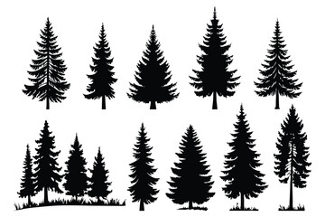 Evergreen forest tree vector collection – isolated pine and fir tree shapes