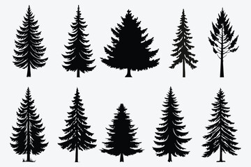 Obraz premium Evergreen forest tree vector collection – isolated pine and fir tree shapes