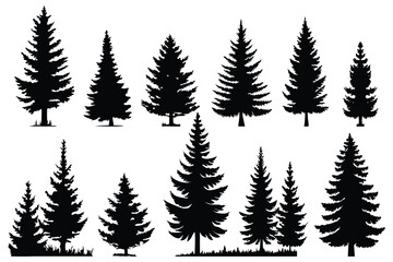 Obraz premium Evergreen forest tree vector collection – isolated pine and fir tree shapes