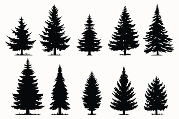Obraz premium Evergreen forest tree vector collection – isolated pine and fir tree shapes