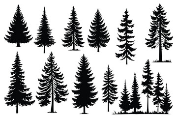 Fototapeta premium Evergreen forest tree vector collection – isolated pine and fir tree shapes