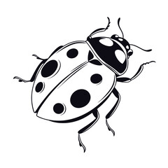 -monochrome-ladybird-line-art---elegant-bug-silhou [Converted].eps