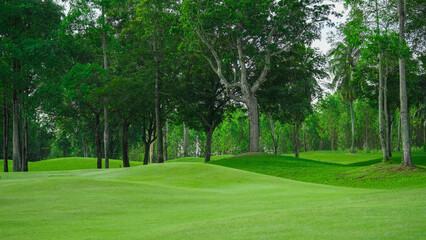 Golf Course Fairway in Forested Area with Gentle Slopes.