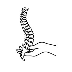 Minimal line art illustration of a human hand holding a spine. Concept of chiropractic care, spinal health, physiotherapy, orthopedics, and manual therapy. Simple and clean design for medical, anatomy