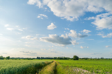 Bright green fields stretch across a rural landscape under a clear blue sky filled with fluffy...