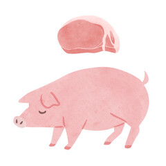 ピンク色の豚と豚肉　水彩風手描きイラスト