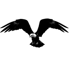 Eagle in Flight Silhouette - Dynamic Side View Vector
