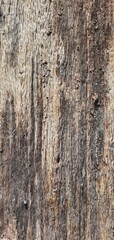 Fototapeta premium old wood texture