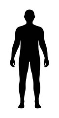Full body human silhouette vector illustration for anatomy and design reference material use