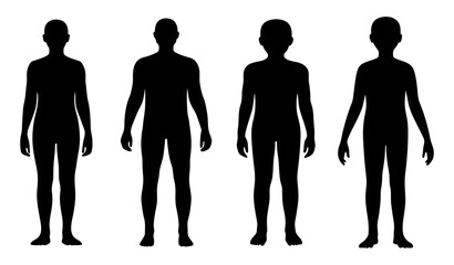 Find human body silhouette vector illustration for anatomy study and fashion design resource needs