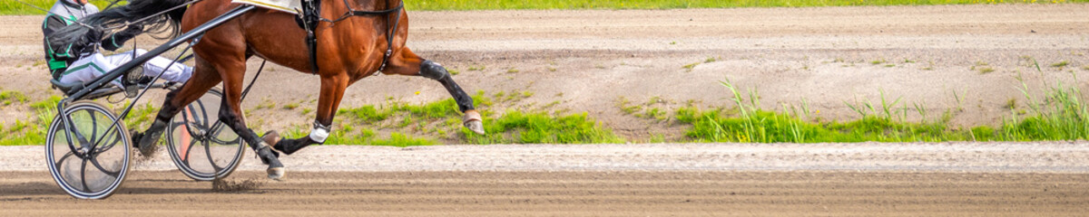 Equestrian sport. Horizontal photo banner. Copy space for your text. Horses compete in harness racing