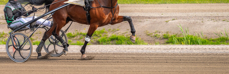 Equestrian sport. Horizontal photo banner. Copy space for your text. Horses compete in harness...