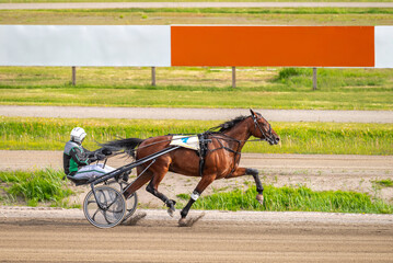 During a horse race, a rider decided to carefully study the content of the advertising posters...