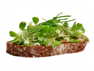Fresh Open-Faced Sandwich with Wild Greens and Herbs on Dark Bread