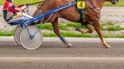 Equestrian sport. Horizontal photo banner. Copy space for your text. Horses compete in harness...