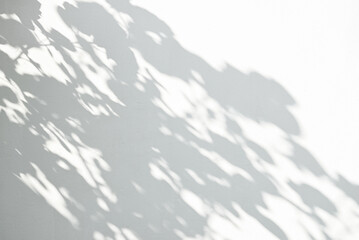 Abstract neutral background. Blurred shadows from leaves on a white wall.
