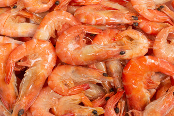 Shrimps background texture. A lot of shrimps. Cooked shrimps.