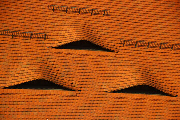 Roof with eye-shaped dormers in a traditional European style