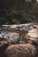 stream in the mountains