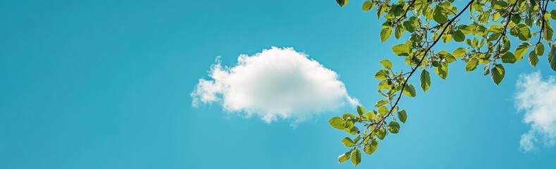Bright blue sky with a single white cloud and leaves