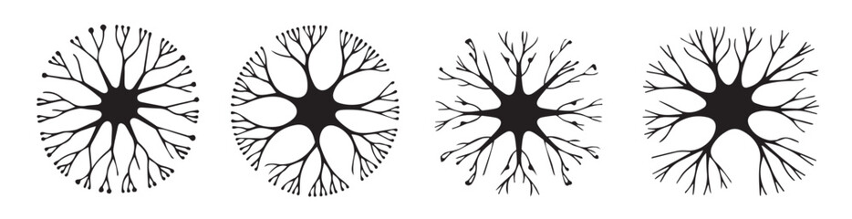 Collection of abstract neuron illustrations showing different branching patterns and cellular shapes isolated on white background © Mehedy