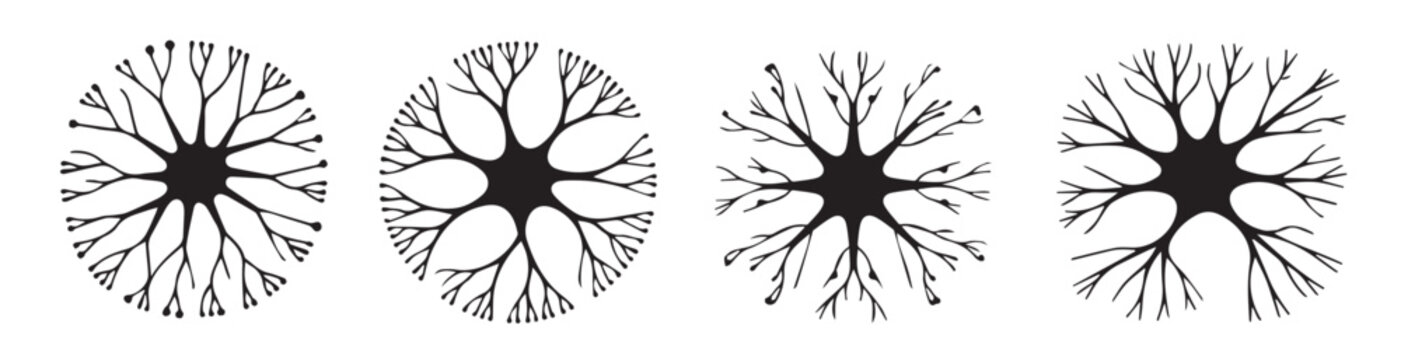 Collection of abstract neuron illustrations showing different branching patterns and cellular shapes isolated on white background