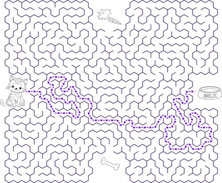 Chose right item and help cat pass through maze to find its food. Hard riddle for clever kids and pupils. Feed the hungry kitten labyrinth with solution isolated on white background.