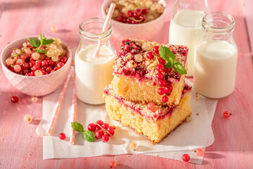 Sweet red currant yeast cake with milk in bottle.
