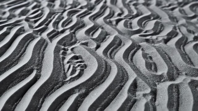 An extreme close-up reveals the fascinating texture of ferromagnetic powder. The black and white granular material shifts into complex, organic ripples and waves, sculpted by an unseen magnetic force.