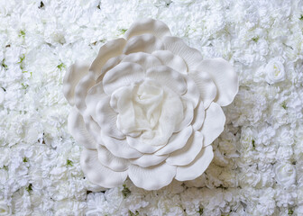 digital photography background flower for newborn and baby. Selected focus.	