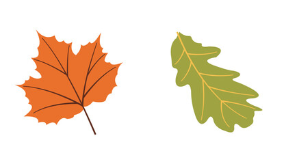 Fototapeta premium Seasonal autumn flat vectors: orange and green for creative use. Hand drawn set for banners, cards, social media