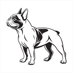 Fototapeta premium French bulldog vector illustration