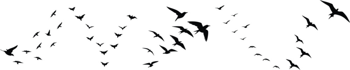 Flying Birds in Flock Silhouette Vector – Dynamic Nature Scene