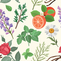 vector seamless pattern with aromatic ingredients including chamomile, rose, mint, rose, dill, grapefruit, thyme, and Clary sage Salvia