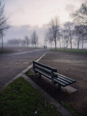 Fototapeta premium Winter town park in fog. Cool surreal look. Trees are without leaf and green lawn.