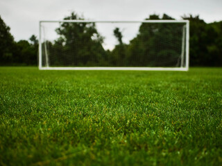 Soccer or football goal posts on clean green grass in foreground, dark trees and dramatic cloudy sky in the background. Popular sport equipment and training ground. Professional club pitch.